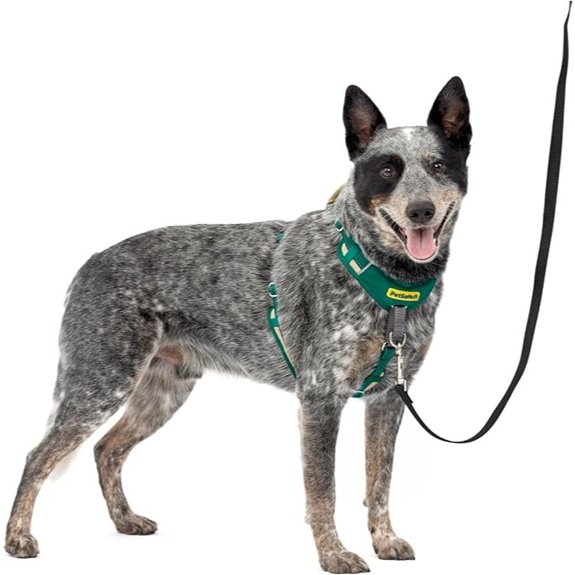 PetSafe Easy Walk Comfort No Pull Dog Harness Green Medium