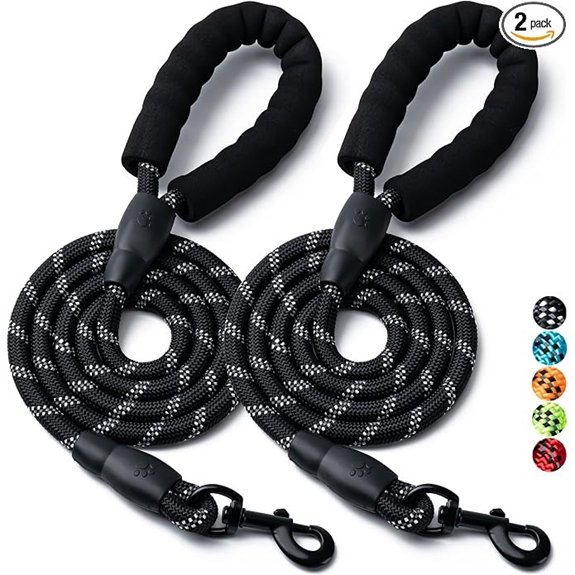 2 Pack Dog Leash Heavy Duty Nylon Rope Pet Leashes (5FT-1/2,Black/Black)