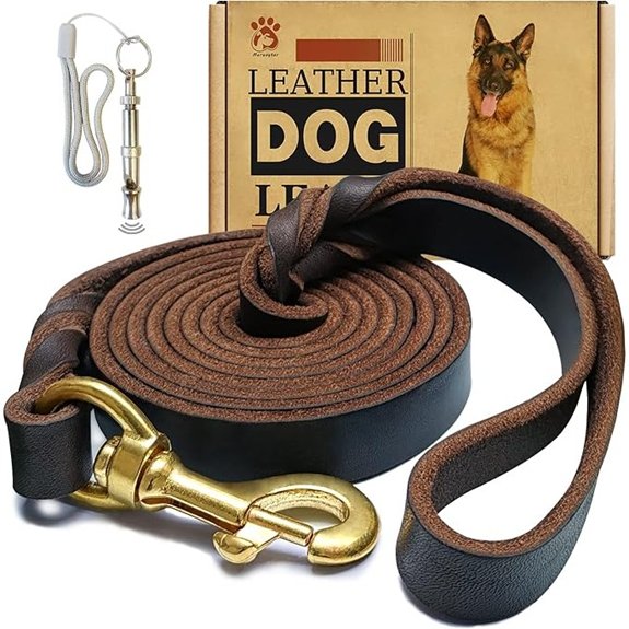 Heavy Duty Braided Leather Dog Leash 6ft (Brown)