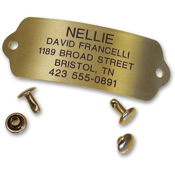 LuckyPet Personalized Pet ID Tag - Brass Heavy-Duty