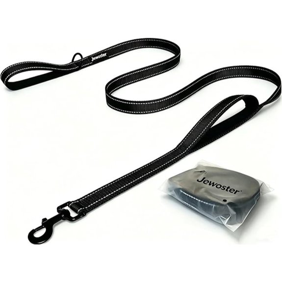 Heavy Duty Dog Leash with Dual Handles (6 ft)