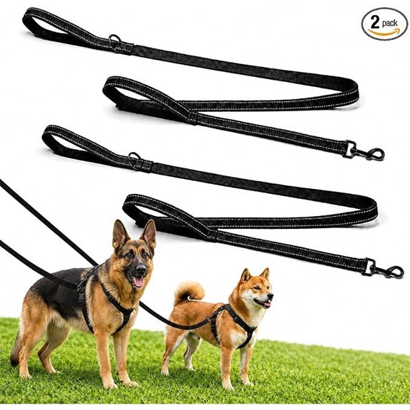 2 Pack Dog Leash 6 FT Heavy Duty Dual Handle Reflective Leash for Dogs