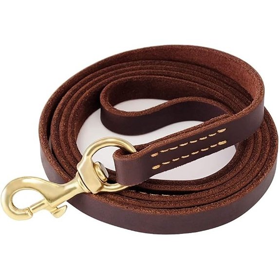 FAIRWIN 6‑Foot Leather Dog Leash – Heavy Duty
