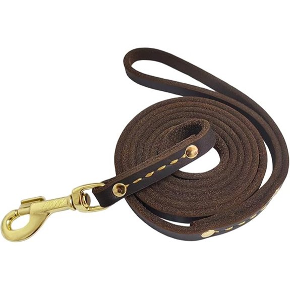 Heavy Duty 6ft Genuine Leather Dog Leash (Brown)