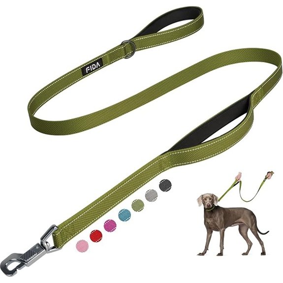 Fida Heavy Duty Dog Leash for Medium Large Dogs 4 FT Dual Padded Handles