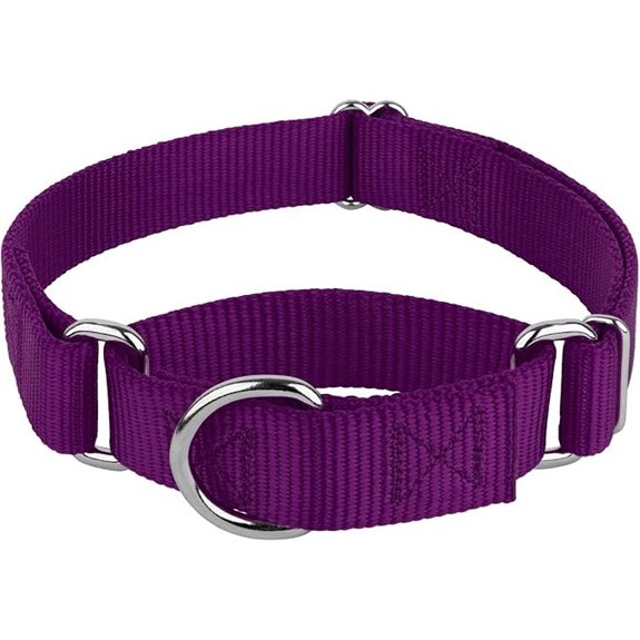 Country Brook Martingale Dog Collar – Heavy‑Duty Training (Medium)