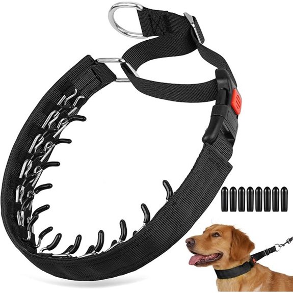 Crazy Felix No Pull Dog Collar Hidden Martingale Training Collar Black