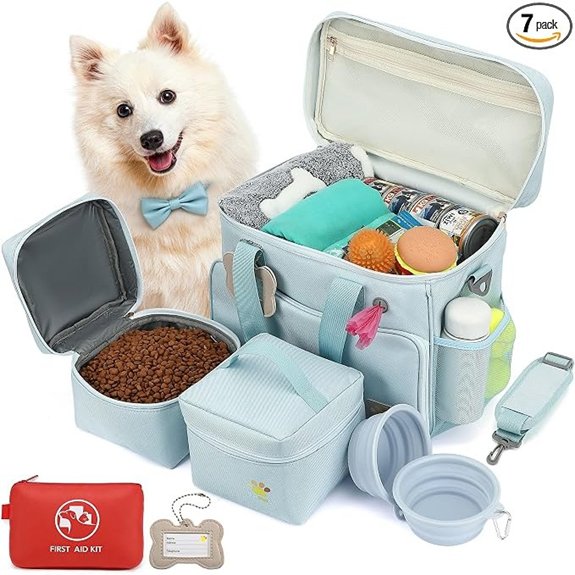 Pet Travel Bag Large Blue Dog Carrier