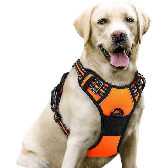 rabbitgoo Dog Harness No Pull for Large Dogs with 2 Leash Clips Pet Vest