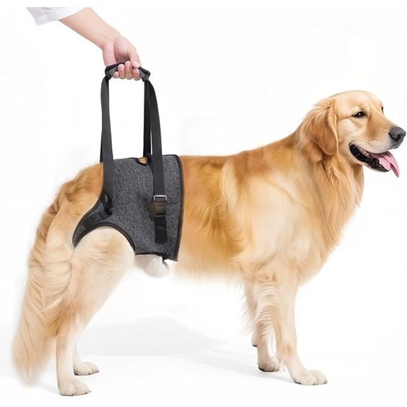 Dog Sling for Large Dogs Hind Leg Support (X‑Large)