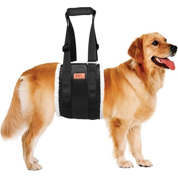 Adjustable Dog Sling for Large Dogs Hind Leg Support Weak Legs Mobility Aid