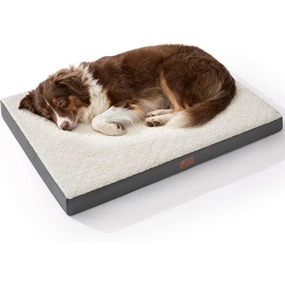 Bedsure Washable Dog Beds Large Sized Dog with Comfy Sherpa 36x27in Grey