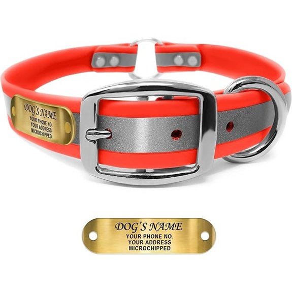 Regal Dog Products Reflective Dog Collar Engraved Nameplate Large Orange