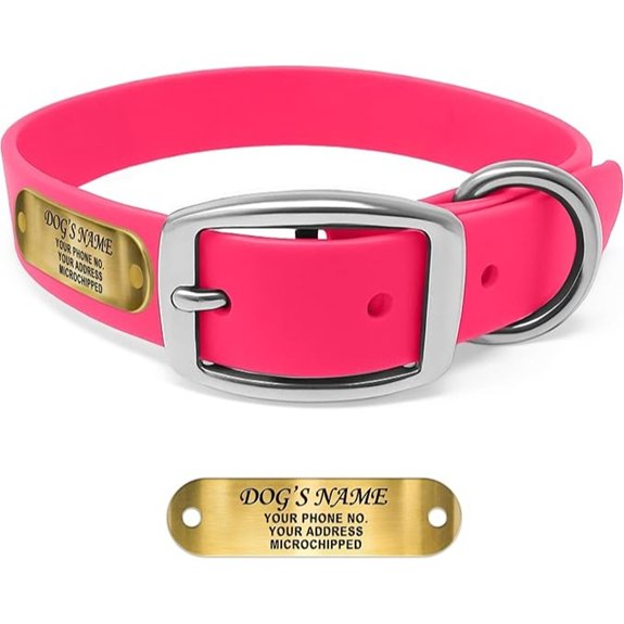 Regal Dog Products Waterproof Dog Collar Custom Engraved Name Large Pink