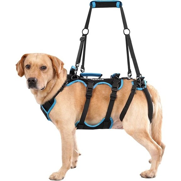 Dog Lift Harness for Large Senior Dogs (Back Leg Support)