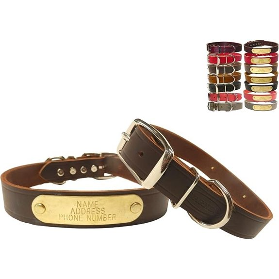 Cumberland Leather Dog Collar with Brass ID Tag (21)