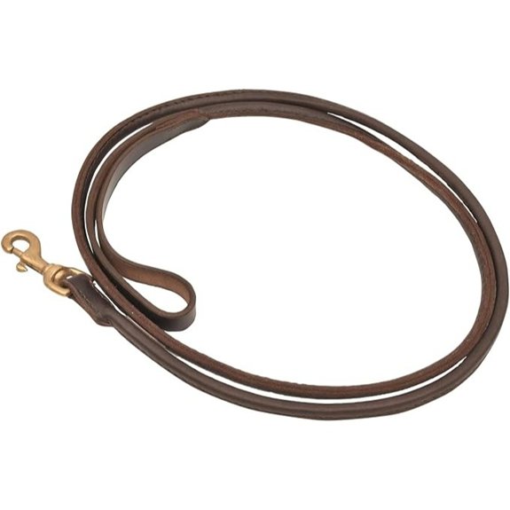 Jeffers 6FT Rolled Leather Dog Leash – Brass Hardware