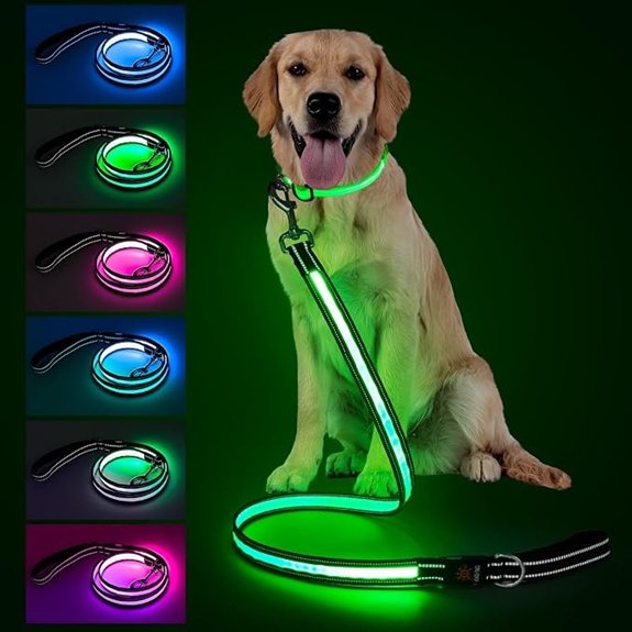 4ft LED Dog Leash with 7 Modes and Rechargeable Handle
