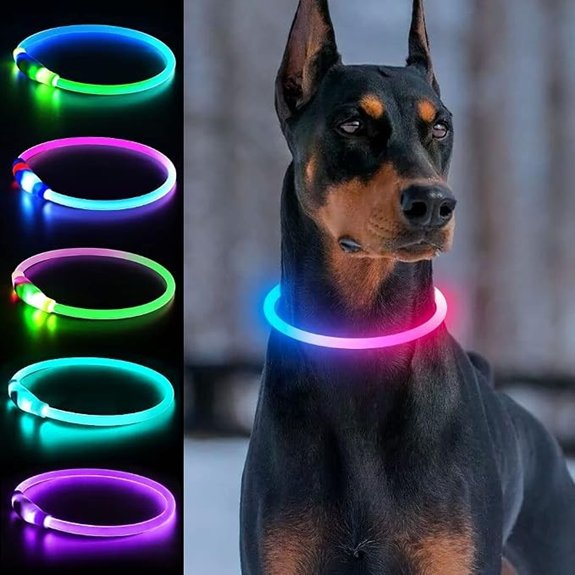 Light Up Dog Collar USB Rechargeable LED Blue+Pink