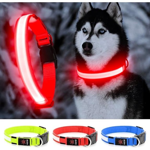 LED Dog Collar Dog Light Up Collar,for Night Walking (Red X-Large)