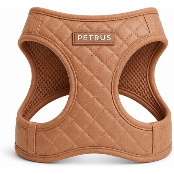 Step-In Dog Harness – Lightweight Breathable Escape-Proof
