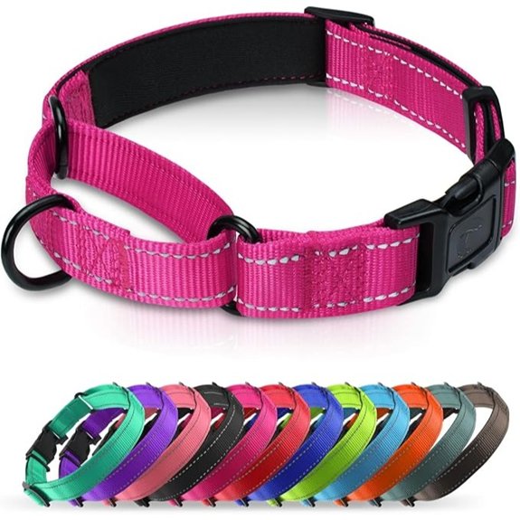 Padded Martingale Collar for Medium Dogs Quick Release Buckle