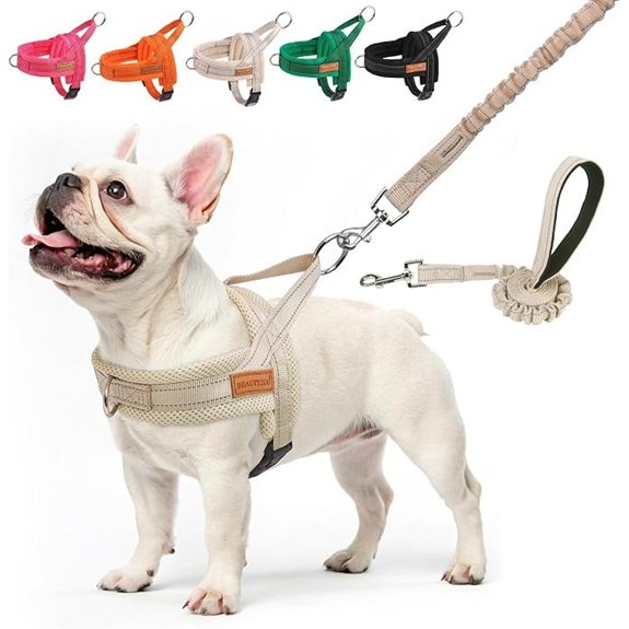 BEAUTYZOO Dog Harness Medium Sized and Leash Set No Pull Step in Pet Vest