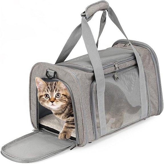Mr. Pen- Pet Carrier 17.5 x 11.2 x 11.5 Medium Size Gray