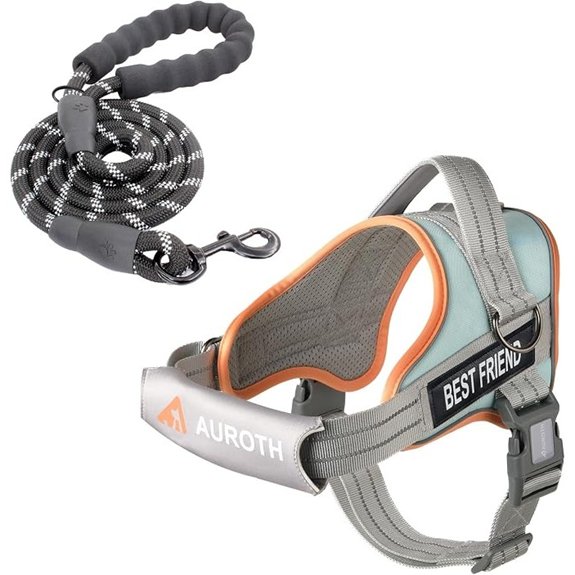 AUROTH Dog Harness and Leash Set for Medium Sized Dog No Pull Dog Vest