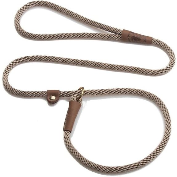 Mendota Pet Slip Leash - Dog Lead Collar Combo (USA)