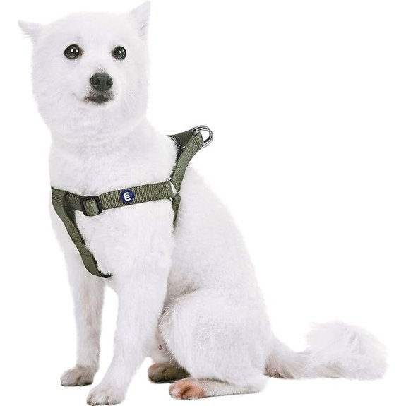 Blueberry Pet Large Step-in Dog Harness Military Green
