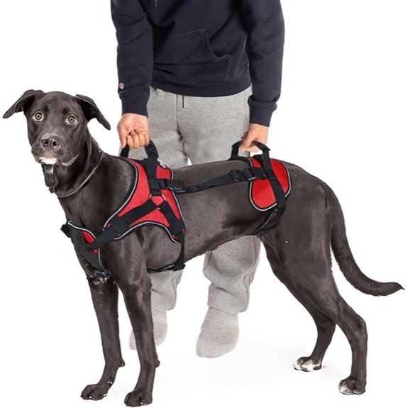 Doggie Stylz Multi-Functional Full-Body Lifting Dog Harness Vest