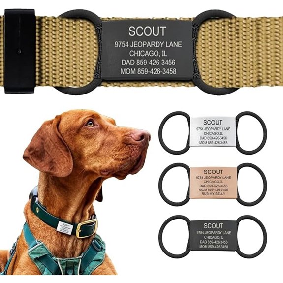 Road iD Personalized Dog Tags for Pets Silent Name Tag for Dog Collar