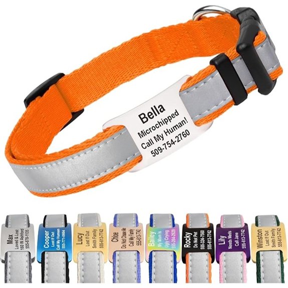 GoTags Reflective Dog Collar with Personalized Nameplate Collar Tag Combo