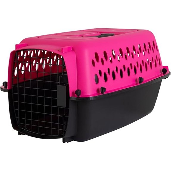 Petmate Pet Porter Fashion Dog Kennel 23in Hot Pink for Pets up to 15lbs