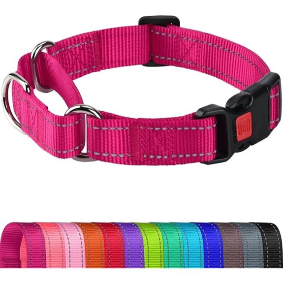 pink escape proof martingale