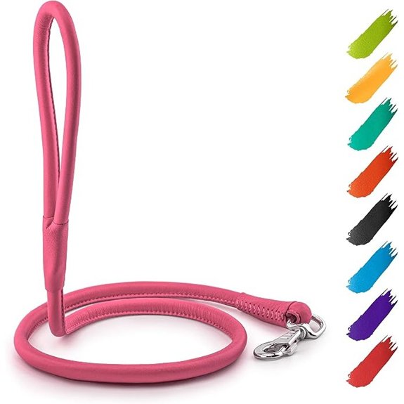 WAUDOG Rolled Leather Dog Leash 4Ft (Pink)