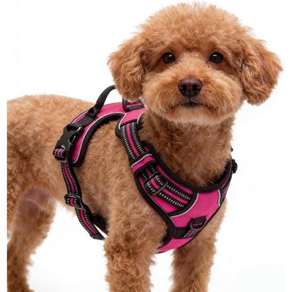 Hot Pink Adjustable Dog Harness with Reflective Vest