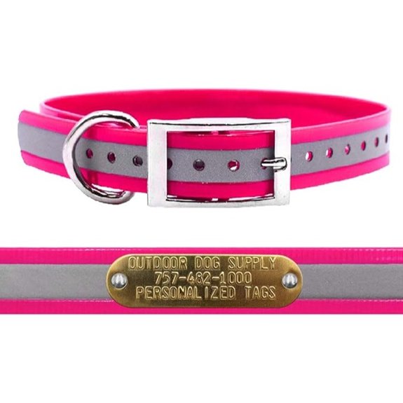 Reflective Heavy Duty Waterproof D-Ring Dog Collar w Custom Name Tag Pink