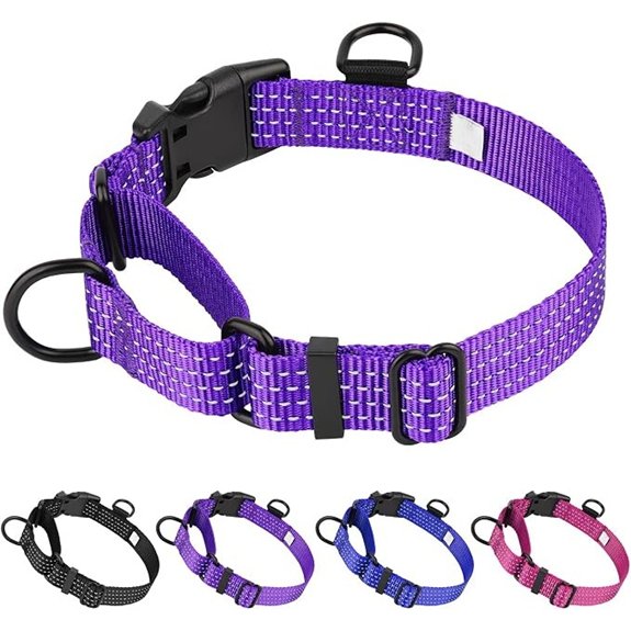 Martingale Dog Collar No-Pull Training Collar (M Purple)