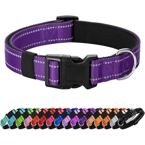 purple reflective nylon collar