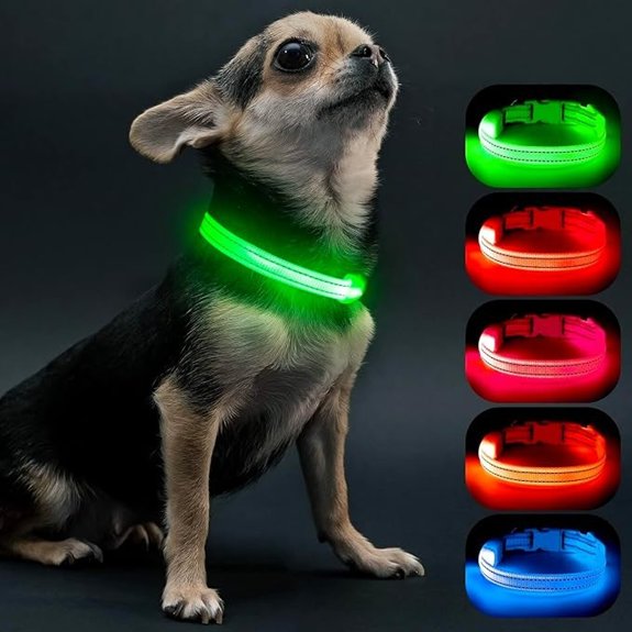 Visinite LED Light Up Dog Collar Rechargeable Adjustable Green