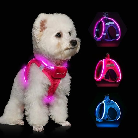 Light Up Dog Harness Rechargeable LED Dog Harness for Small Medium Dogs