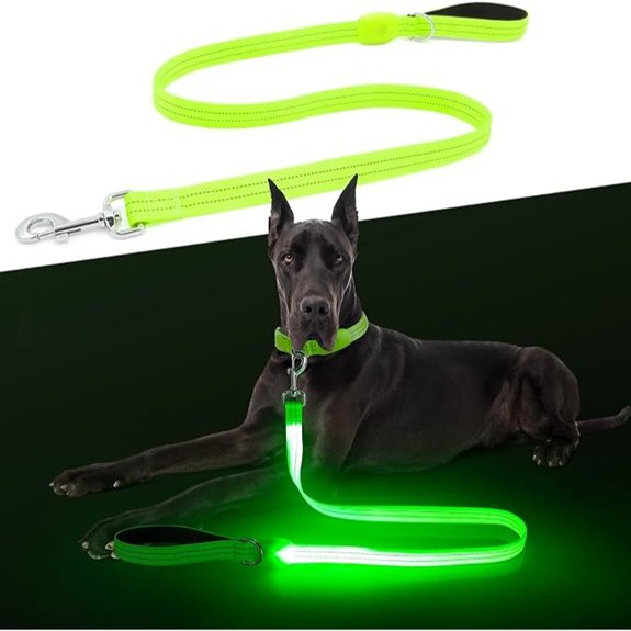 LED Dog Leash 4ft USB Rechargeable Waterproof Nylon Reflective