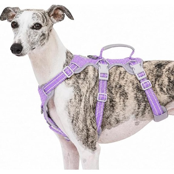 Huntboo Escape Proof Reflective Dog Harness with Lift Handle