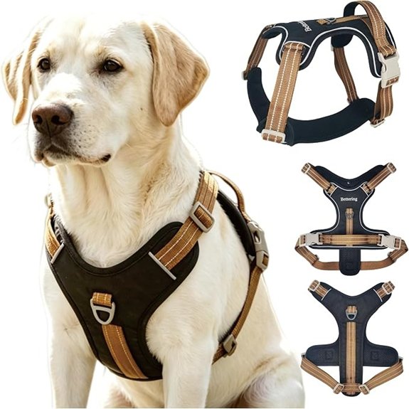 Reflective Dog Harness with D‑Rings & Thickened Handle