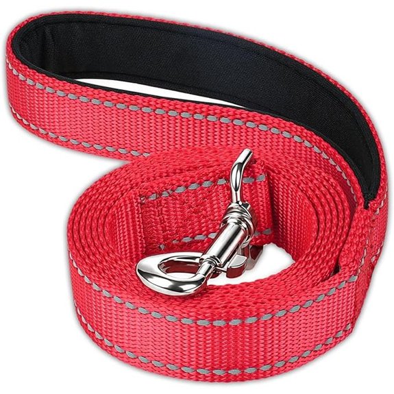 FunTags Reflective Nylon Dog Leash for Medium & Large Dogs 6FT for Walks