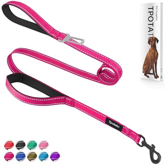 6 Foot Fuchsia Reflective Nylon Dog Leash with Padded Handles