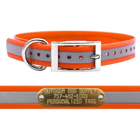 Reflective Heavy Duty D-Ring Dog Collar w Custom Name Tag Orange 21