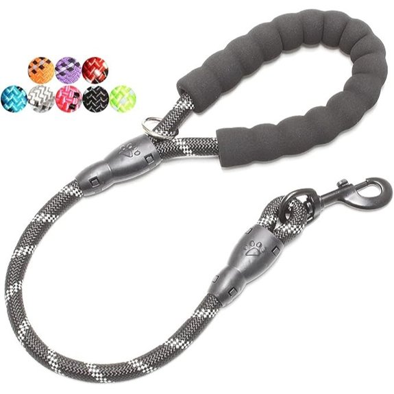 BAAPET Dog Leash with Padded Handle and Reflective Threads (2‑6 FT)